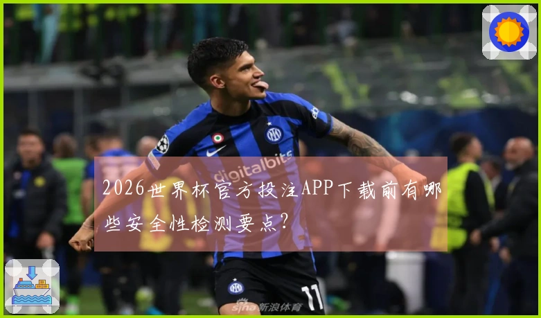 2026世界杯官方投注APP下载前有哪些安全性检测要点？