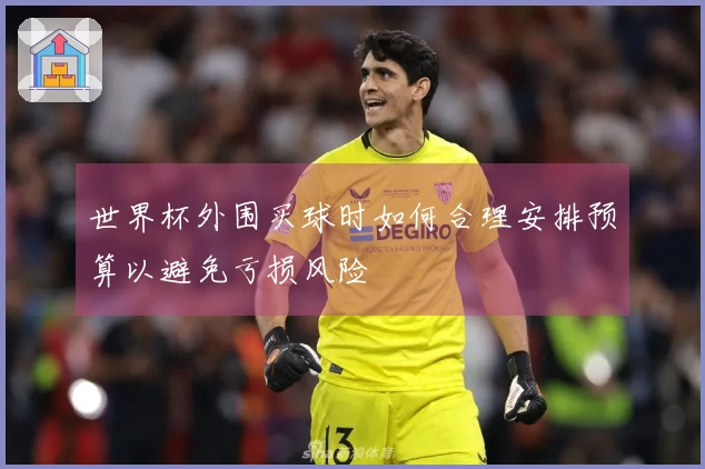 世界杯外围买球时如何合理安排预算以避免亏损风险