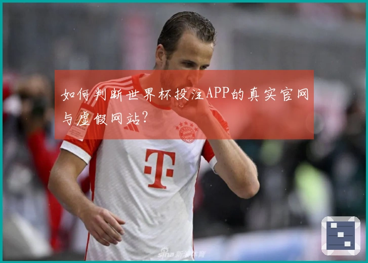 如何判断世界杯投注APP的真实官网与虚假网站？