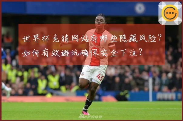 世界杯竞猜网站有哪些隐藏风险？如何有效避坑确保安全下注？