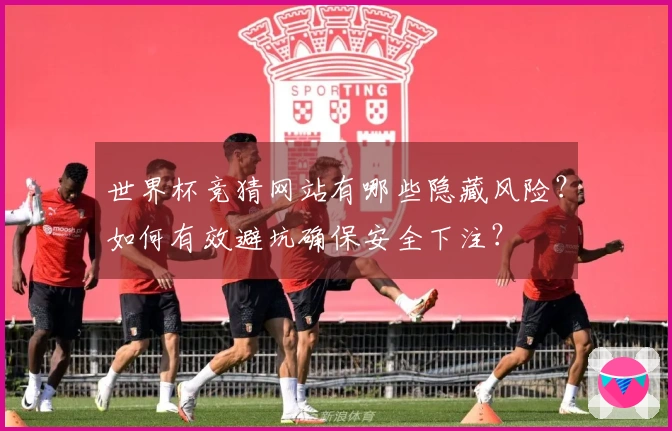 世界杯竞猜网站有哪些隐藏风险？如何有效避坑确保安全下注？