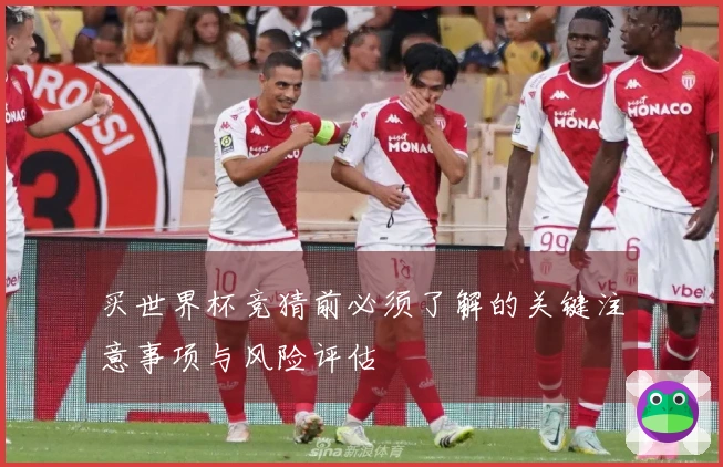 买世界杯竞猜前必须了解的关键注意事项与风险评估