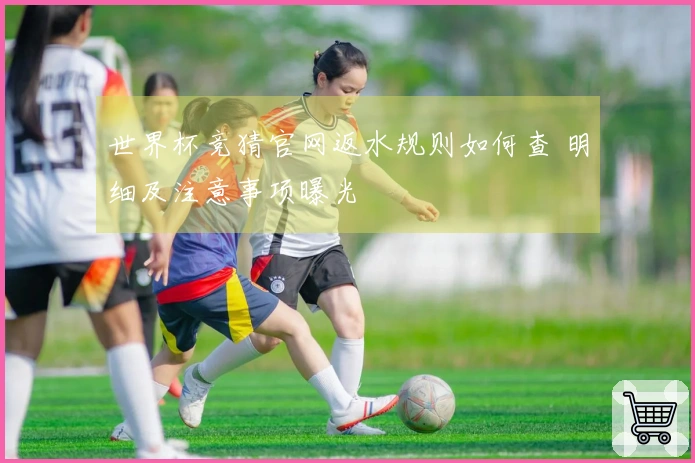 世界杯竞猜官网返水规则如何查 明细及注意事项曝光