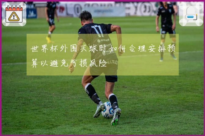 世界杯外围买球时如何合理安排预算以避免亏损风险